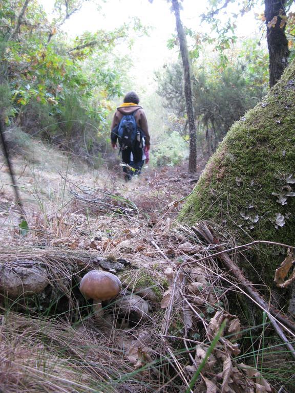 Hosteria Camino 루에고데소모자 외부 사진